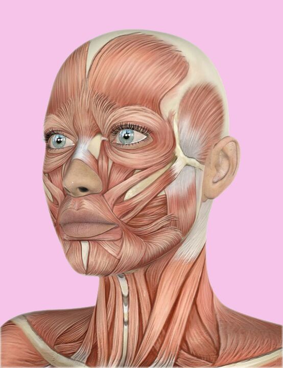 The fabric of a human face