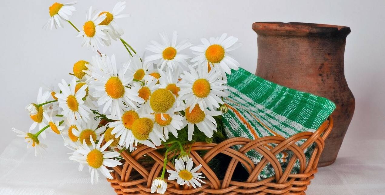 how to make face freshener from chamomile flowers